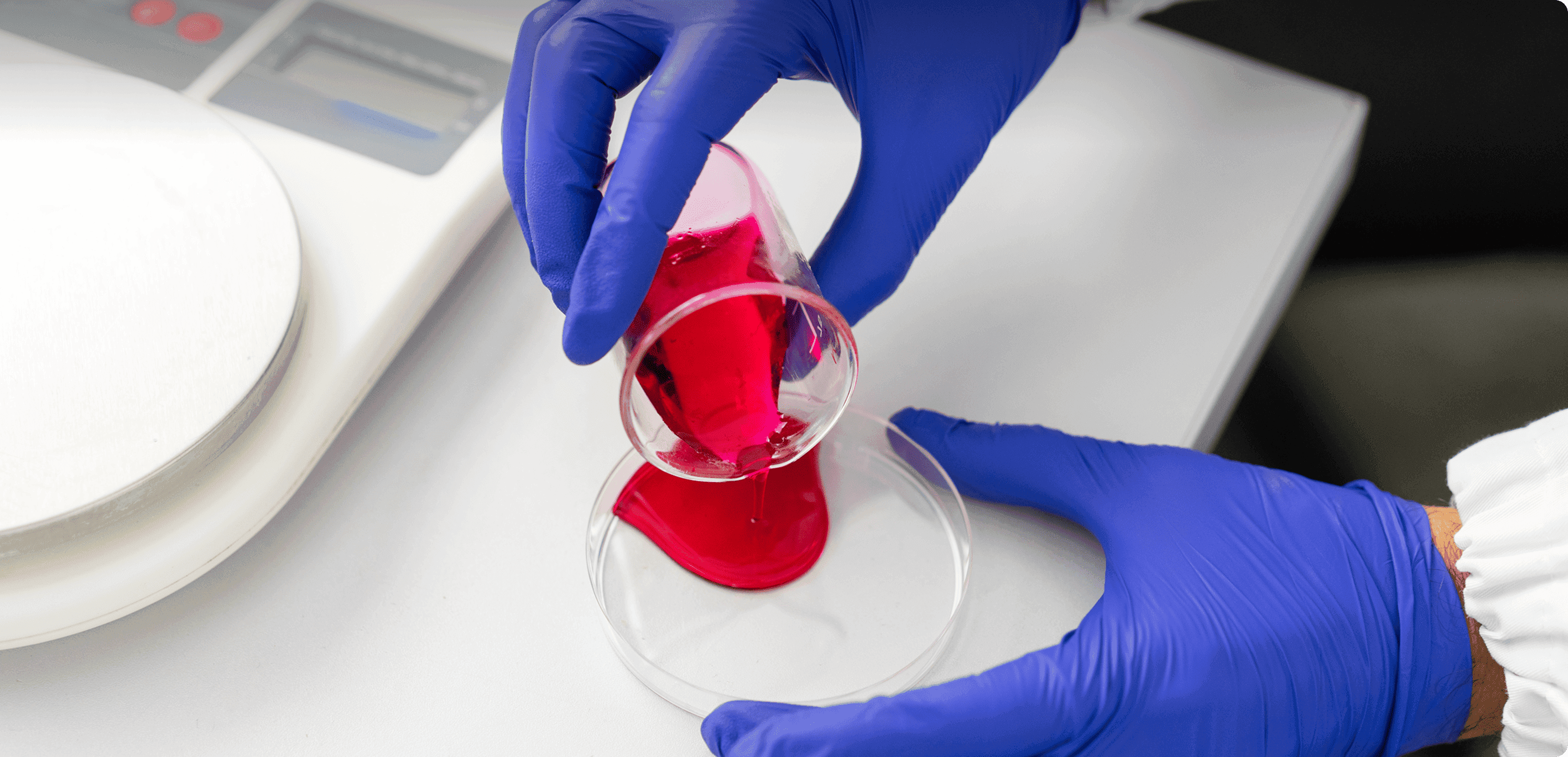 Gloved hands pour red liquid from a beaker into a petri dish in a laboratory setting.