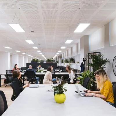 Spacious working area with natural light, shared desks, and green plants.