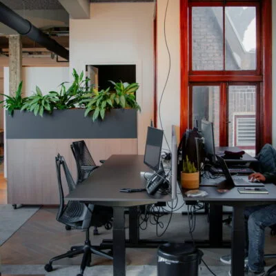 Man working at a desk in a modern office space with indoor plants and open office layout.