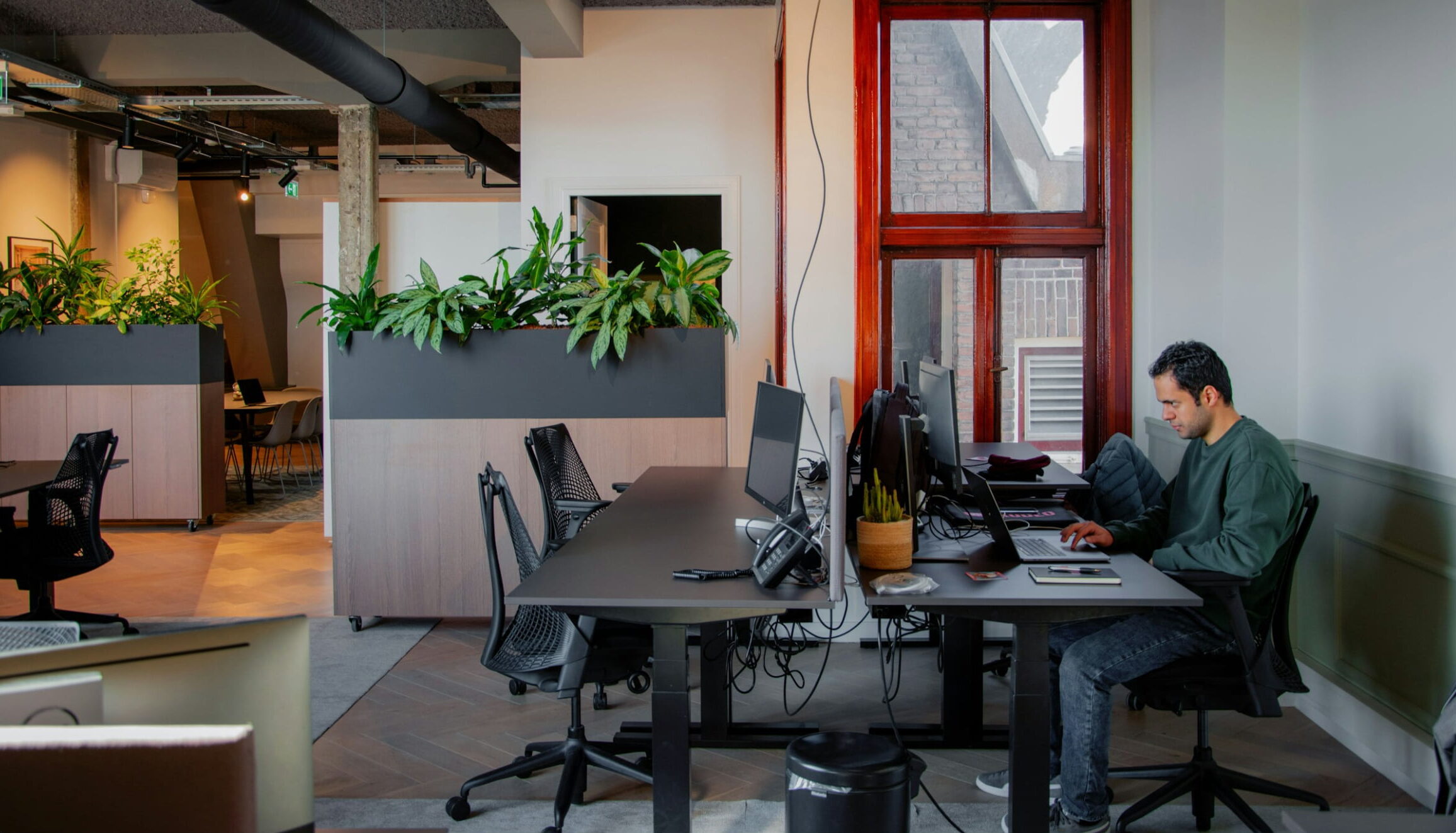 Man working at a desk in a modern office space with indoor plants and open office layout.