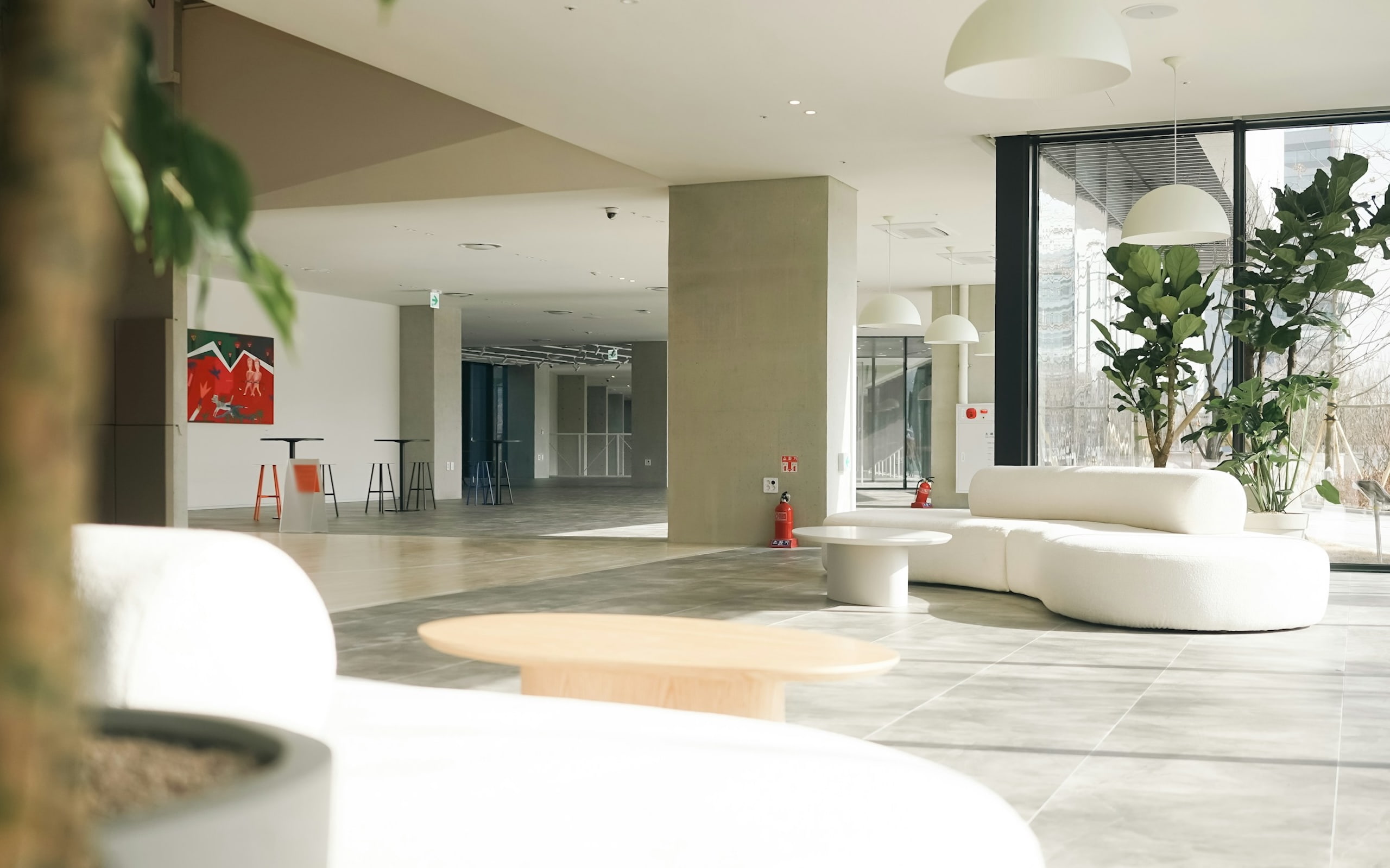 Bright office lounge with white curved sofas, indoor plants, and large windows letting in natural light.